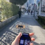 【緊急画像】えっ待って…この暖かさと日差し、完全に春じゃん。冬終わってんじゃん