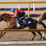 【地域貢献寄付金】JRA交付金、使途自由に　26年から、道路整備の要件撤廃