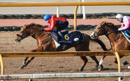 【地域貢献寄付金】JRA交付金、使途自由に　26年から、道路整備の要件撤廃