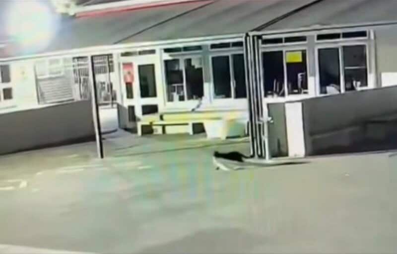 プールの時間に水着や下着を1年以上盗み続けた犯人が捕まる