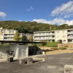 【熊本】🐶🐈県営団地で「ペット飼育OK」に　高齢者の孤立解消へ、熊本で初試行