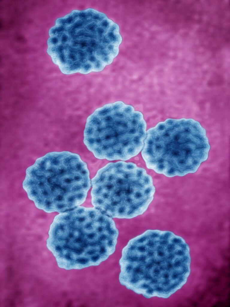 【子宮頸がん、肛門がん、膣がん、外陰がん、陰茎がん、口腔がん、咽頭がん】男女とも、若いうちにヒトパピローマウイルス（HPV）ワクチン接種を・・・婦人科医 「がんを予防するすばらしいワクチンです」