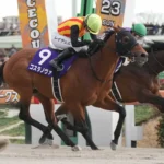 【競馬】フェブラリーS(東京・G1)　コスタノヴァが連覇！ルメールはJRA・G1通算58勝目