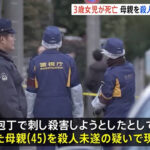 8歳男児「刺されたッ！」　血だらけになり助けを求める　家では3歳の妹も刺され死亡　45歳の母親を逮捕