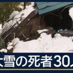 除雪代行サービス「ノーユキ」で一発当てようとおもう(´・ω・`)