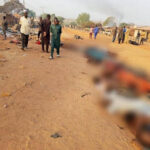 ナイジェリアの村で162人死亡　イスラム過激派が大量虐殺👈移民入れるの(´・ω・`)❓