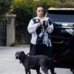 なぜ、移民という名前の外○人窃盗犯、殺人犯、性犯罪者の肩を持つことが「正しいこと」とされて、反対することが「差別主義」と言われるのだろう？