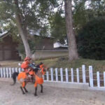 【小学生の頃の義憤】日本の小さな馬では重い騎馬武者を乗せて戦えないという定説を覆す！！（本人の体重と大鎧、馬具、武装で合計約100kg）