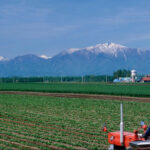 農業の倒産、過去最多更新　価格転嫁の難しさが要因