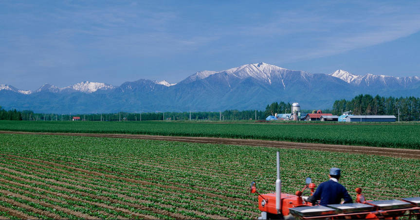 農業の倒産、過去最多更新　価格転嫁の難しさが要因