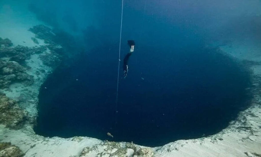 南シナ海のドラゴンホールで1,700個以上の古代ウイルスが発見された。