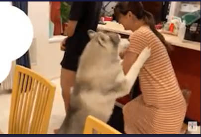 【悲報】やさしーヌ、旦那さんをぽこぽこに殴る奥さんを必死に止める