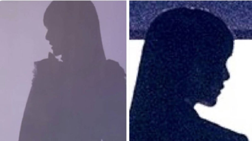 【画像】adoちゃんの横顔流出