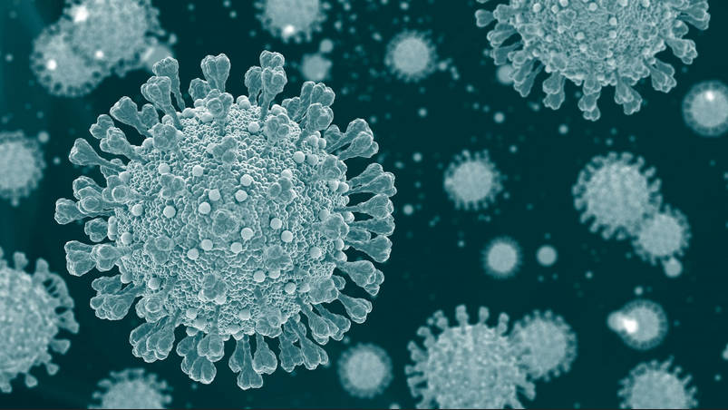 【真偽不明】コロナワクチン、市民団体分析で接種後数カ月に死亡集中、ロット差最大70倍、1年以内死亡推計389万