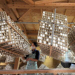 【高齢化】「日本のシルク失われる」養蚕農家、過去最少の113戸に　25年度　離農加速