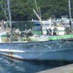 もう日本も水産資源が少ないから多く未利用魚を利用していく方針らしいな