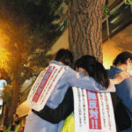 【緊急ルポ】神田警察通りの悲鳴！深夜の強行突破でイチョウ64本が「伐採」された。住民の涙と、無残に晒された切り株の街