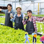 【特定技能2号は高度人材】これ、模擬試験問題。どこが高度なの？