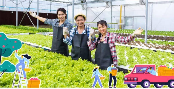 【特定技能2号は高度人材】これ、模擬試験問題。どこが高度なの？