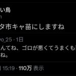 【速報】高市早苗の蔑称、『ドタ市キャ苗』に決まる  …