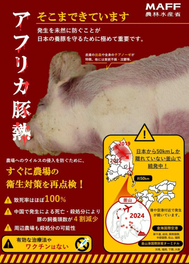 【豚熱／韓国の日本へのバイオテロ注意】韓国でアフリカ豚熱が猛威　例年を大幅に上回るペースで感染確認