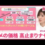 コメ集荷・卸「今になってみれば、なぜあの値段で頑張って集めたんだろ…」