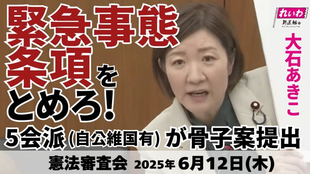 れいわ大石あきこ「憲法審査会に玉木氏。緊急事態条項で戦争できる道に。みんなで止めよう」