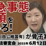 れいわ大石あきこ「憲法審査会に玉木氏。緊急事態条項で戦争できる道に。みんなで止めよう」