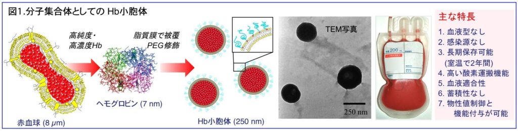 【医療】人工赤血球が臨床試験段階に入る！！現在は試験の継続段階！！