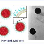 【医療】人工赤血球が臨床試験段階に入る！！現在は試験の継続段階！！