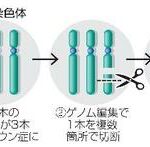 【快挙！】日本さん、ダウン症患者から原因となる遺伝子の除去に成功してしまう