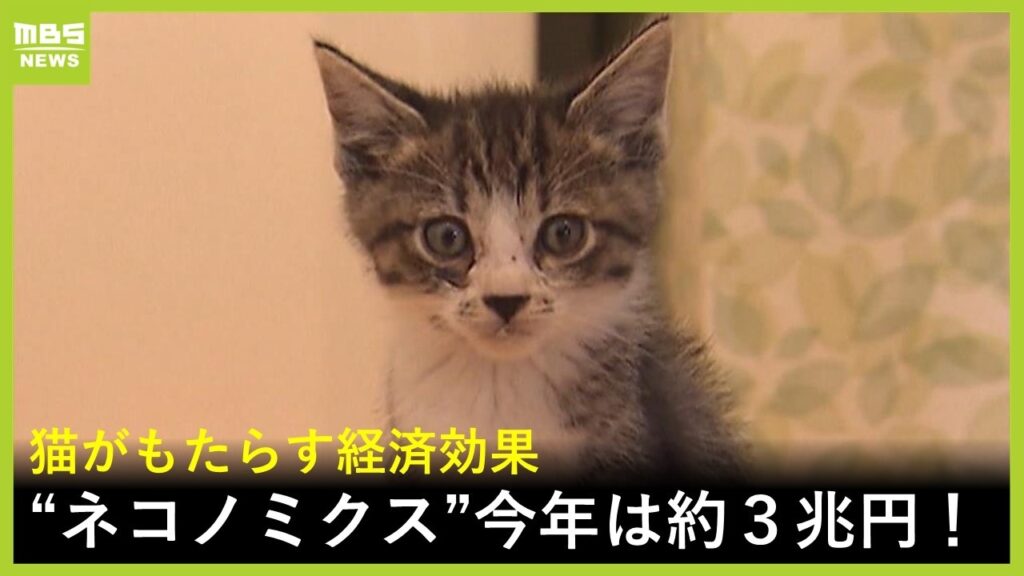 猫がもたらすネコノミクス　経済効果は万博に匹敵する約３兆円！？