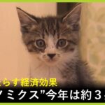 猫がもたらすネコノミクス　経済効果は万博に匹敵する約３兆円！？