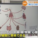 【米チューレーン大学研究】新型コロナ感染、ウイルスが検出されなくなった後も持続的な脳の炎症と小血管損傷を引き起こす