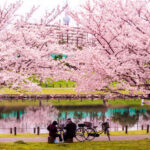 春の東京にありがちなこと