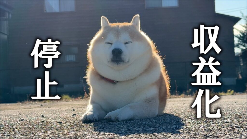 【悲報】柴犬らんまるチャンネル、収益化停止