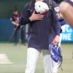 【WBC】中日・金丸夢斗投手、侍ジャパンに緊急招集　辞退したパドレス松井裕樹からはメッセージ