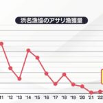 浜名湖名物　アサリの収穫量がゼロに。一体なぜ？!