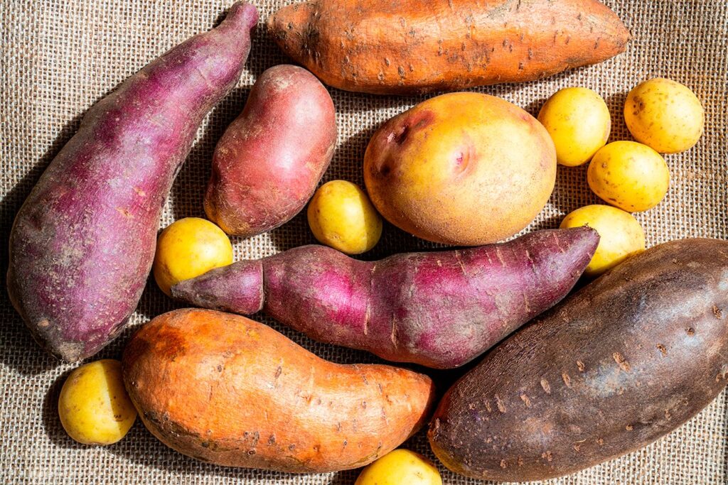 【食糧不足】昼食は「焼き芋2本、ジャガイモ2個、野菜炒め2皿」…日本が食料危機で「米から芋食」にシフトする日