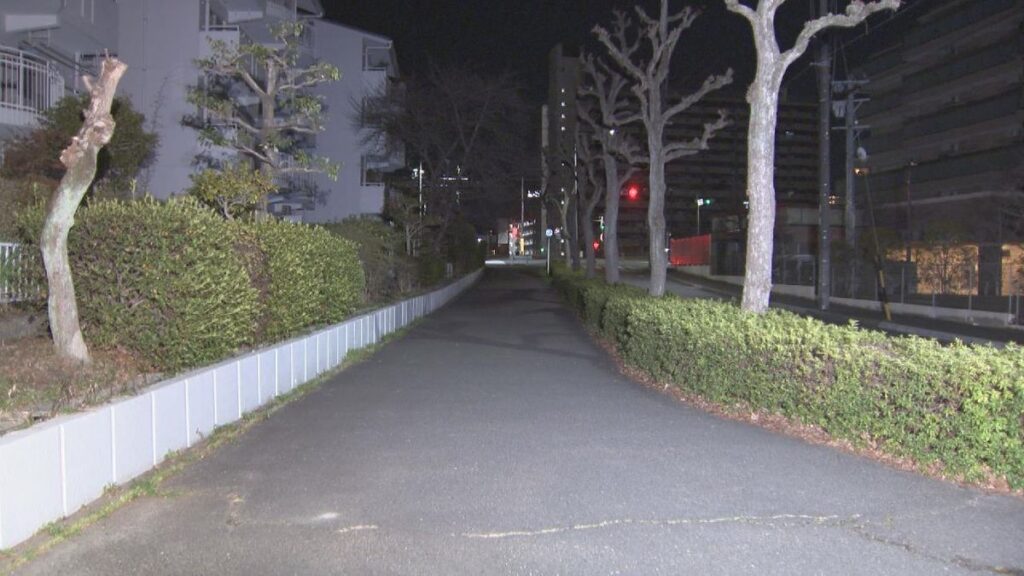 【外国人犯罪】拳銃のようなもの突きつけ「ギブミーマネー」　現金26万円奪った男2人の行方追う　名古屋・熱田区