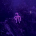 【謎生物】「だいぶ怖い」「これ何？？」　新潟の水族館にいる”謎の生命体”に3.9万人戦慄