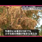 スギ花粉　青梅で3986個/㎠など都内で過去最多の飛散量…今日も関東～九州で大量飛散