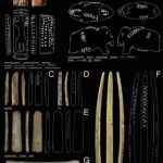 【考古学】4万年前、人類はすでに“記号”でコミュニケーションしていた？　石器時代の洞窟から出土した、驚きの遺物の数々