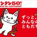 絵本『ノンタン』7年ぶり新刊8月発売へ　50周年記念で展覧会開催