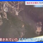 【東京】桜の木が倒れて70代女性が下敷きに　根元から倒れた大木に専門家も驚き 原因は「根にキノコが・・・」？　世田谷区の砧公園