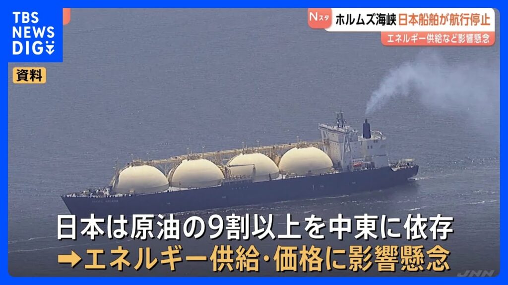 ホルムズ海峡、通過した商業船舶は9隻、一部は位置情報を隠蔽、エネルギー供給の安全性が懸念