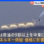 ホルムズ海峡、通過した商業船舶は9隻、一部は位置情報を隠蔽、エネルギー供給の安全性が懸念