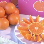 【🍊】愛媛県開発の高級かんきつ「紅プリンセス」販売始まる