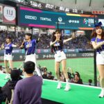 【ＷＢＣ】 台湾ファンが東京ドームをジャック　美女チアガール軍団も襲来