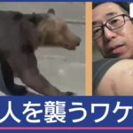 【（・(ｪ)・）】登山中クマと遭遇　６０代男性けが　岩手・宮古市